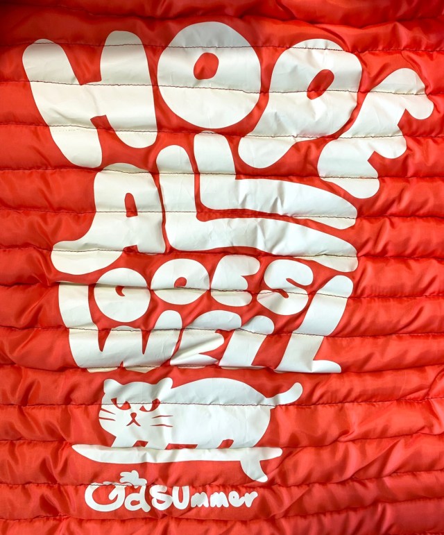 ライトダウン